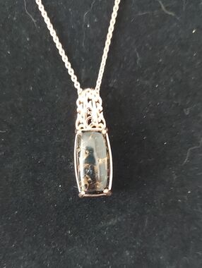 Ever True Matrix Silver Shungite Necklace